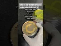 Common microbial contamination in pharmaceutical products. #bacteria #microbiology #pharmaceutical