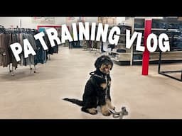 SERVICE DOG PUBLIC ACCESS TRAINING VLOG | full training session with my 6 month old sdit