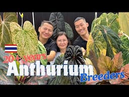 Anthurium Master Breeder 🇹🇭  | The Most 🌈 Colorful Anthurium Foliage + Meet The Night Dragon!