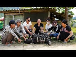 Harvesting the pig, brought piglets to the market to sell! everybody dispute each other to buy