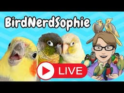 BirdNerdSophie Livestream!