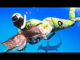 A GIANT Hammerhead Shark Ate Our Fish! | Spearfishing From The BEACH!