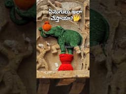 భారతీయులు ఏనుగులను ఎలా ఉపయోగించారు?🐘