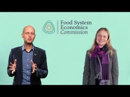 What is the Food System Economics Commission?