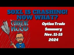 SOXL 3X Leveraged  ETF Is CRASHING! How To Trade It Now? | Options Trades Update For Nov. 11-15 2024