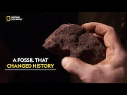 The Boy Who Found History | Two Million Year Old Boy | हिंदी | Full Episode | S1 - E1 | Nat Geo