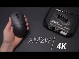 Endgame Gear XM2w 4K Review