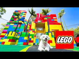 PUPPY EXPLORES LEGO CITY!!