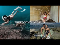 freediving in Apo Island, Dauin Marine Sanctuary| Angel Dei