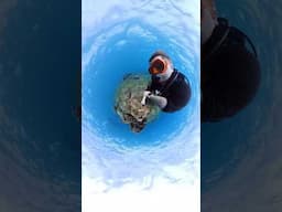 Peekaboo with ​⁠@insta360 #ocean #underwater #camera #shorts