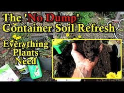 5 Tips to Add Every Element & Amendment Container Soil Needs (Do This Now & Just Plant Come Spring!)