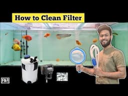 How to : Clean Aquarium Filter | Canister Filter Cleaning