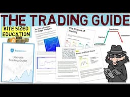 Trader Lion: The Ultimate Trading Guide for Success