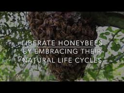 Animal Rights and Birthrights of Honeybees