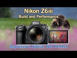 Build and Performance of the Nikon Z6 III