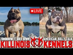 KILLINOIS KENNELS LIVE!!!!! TOMORROW IT GOES DOWN!!!!