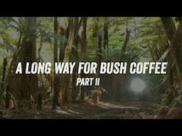 KTM ADVENTURE BIKE RIDING - A Long Way for Bush Coffee (part 2)