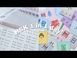 learning hsk 1 vocab in a day | chinese study vlog