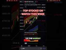 Top Stocks on Watch in 2024