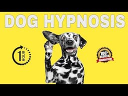 Sound to Calm Dogs Down - Dog Hypnosis For ONE HOUR