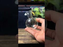 Turning a Glass Vial Into a Terrarium🧪