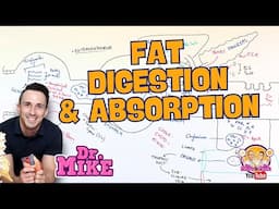 Fat Digestion and Absorption