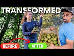 From CHAOS to FOOD: Epic Transformation & Apple Harvest + Preservation |Week Before Hurricane Helene