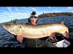 Hunting the Top Predator MUSKY MADNESS (Part 2) #bigfish #musky #fishingadventure