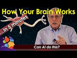 How Your Brain Works...in 5 minutes  (Can AI do this?)