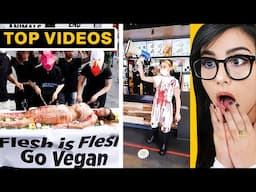 I Found Someone Worse Than Vegan Teacher | SSSniperWolf