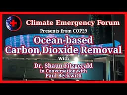 Ocean-based Carbon Dioxide Removal