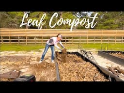 Easy way to make Leaf Compost / Mulch