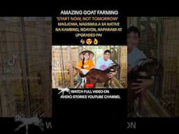 AMAZING GOAT FARMING