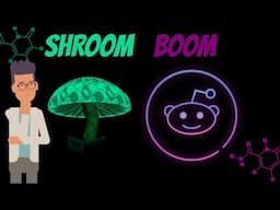 What Social Data Tells Us About Shroom Stocks