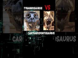 T-Rex vs Carcharodontosaurus Skull Comparison