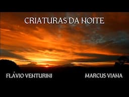 Flavio Venturini e Marcus Viana - "Criaturas da Noite"