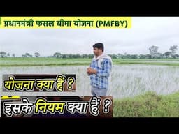 PMFBY फसल बीमा योजना का कैसे मिलेगा मुआवजा  Pradhan Mantri Faisal Bima Yojana - AgritechGuruji