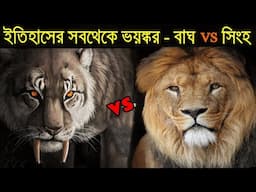 স্মিলডন VS নর্থ আমেরিকান সিংহ, যুদ্ধ হলে কে জিতবে ? Smilodon vs North American Lion, Who Would Win?