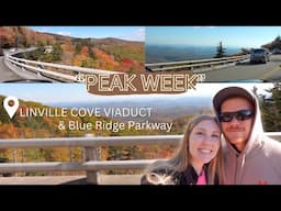 Peak Week In The Blue Ridge Mountains! | ZV1 mark ii VLOG