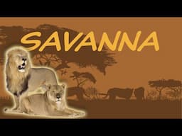 Explore the Savanna Biome = Tropical Grassland 🦁 Nature Ecology & Environment