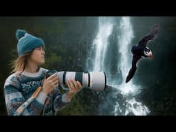 The most INCREDIBLE place to photograph PUFFINS in Iceland!