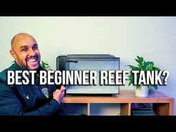 This May Be The Best Cheap Beginner Reef Tank #SuperSimpleBudgetReef Ep1