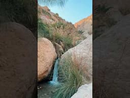 Have you explored the oasis of the Judean Desert - - Ein Gedi!