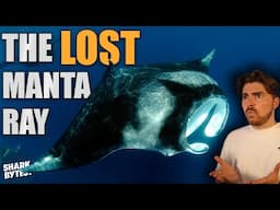 This Manta Ray Doesn't Officially Exist.