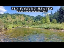 This stream is the Epitome of Perfection - 3 day Backcountry Fly Fishing Trip!