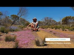 Exploring CANNA and the last of the WILDFLOWER season | Western Australia #43