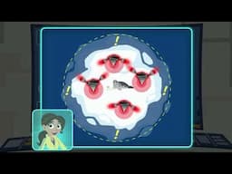 Wild Kratts World Rescue Game