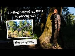 How to find Owls made easy. Photographing Great Gray Owls in the forest, Part 1