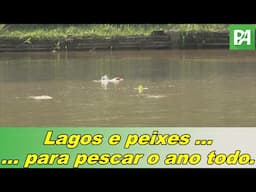 Muitos lagos e peixes para pescar o ano todo