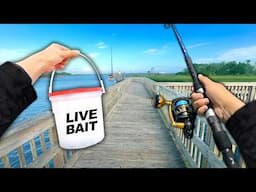 Eating Whatever I Catch.. Fishing a Public Dock (Catch and Cook)